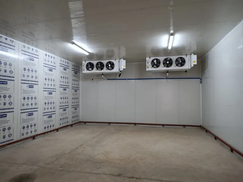 Interior of an ICE MAKE coldroom with ceiling-mounted evaporator fans