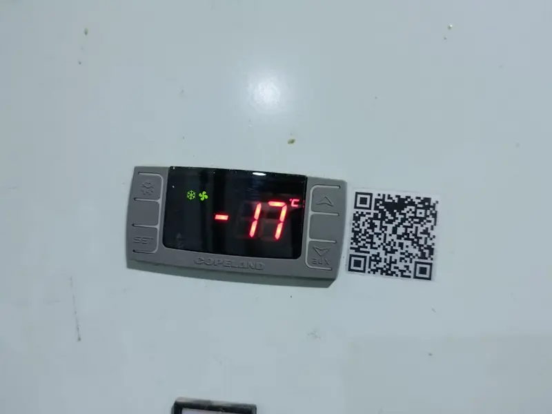 Copeland refrigeration controller holding a freezer at minus 17 degrees Celsius