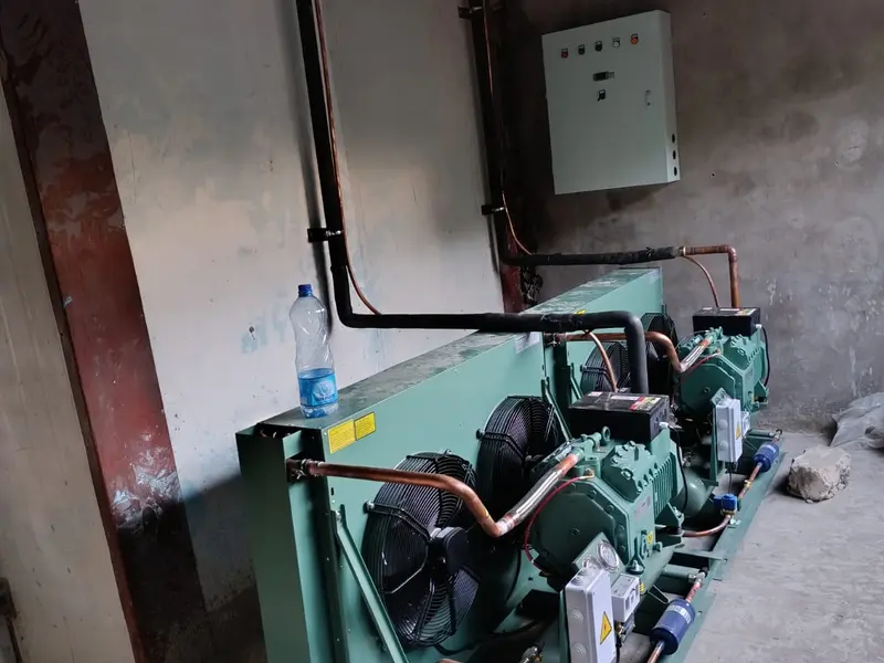 Dual-compressor refrigeration condensing unit with three condenser fans