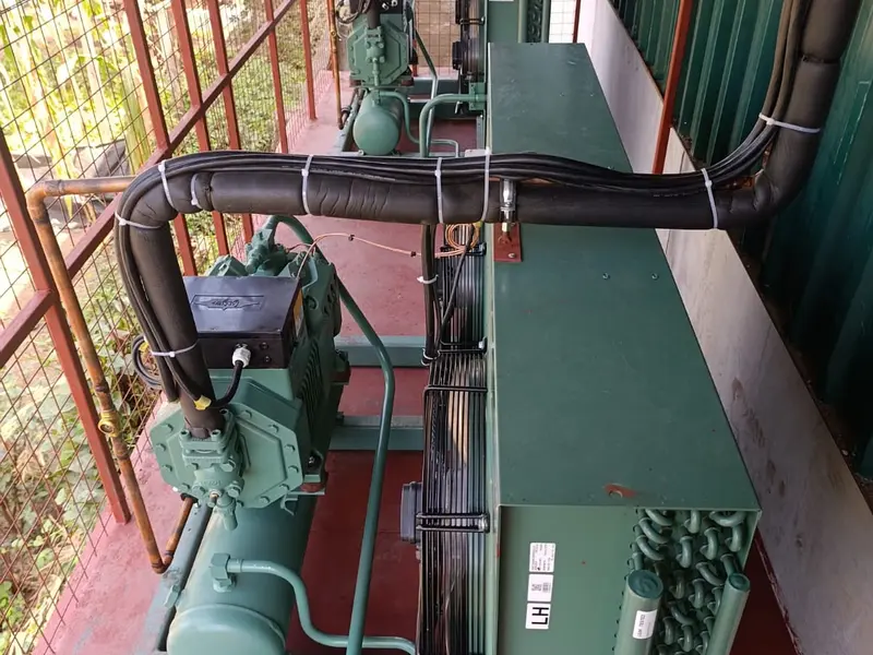 Twin outdoor refrigeration condensing units installed on a plant balcony
